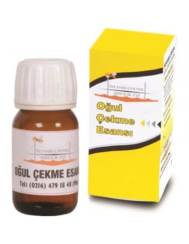 OĞUL YAKALAMA ESANSI